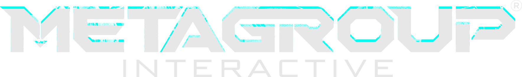 MetaGroup Interactive